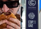Gurme burgerler ve barbekü servis eden BM iklim zirvesi, Amerikalılara et yemeyi bırakma çağrısında bulunuyor