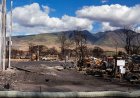 Hawaii'nin Lahaina'sı ölümcül orman yangınının ardından devam eden toksin sorunları nedeniyle kısmen yeniden açılıyor