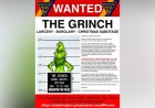 Grinch'i para kazanmak için fotoğraflarda kullanmak kumbaranızı boşaltabilir: uzmanlar