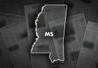 Eski Jackson, Mississippi şehri çalışanı, sanat bağışı elektronik dolandırıcılık planı nedeniyle denetimli serbestlik aldı