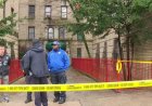 NYC'deki 5 yaşındaki ikizler anneleri tarafından tepkisiz, 'ağızları köpürürken' bulundu: polis