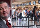 Cruz, uçuşlara binen göçmenlerin TSA tarafından taranması konusunda DHS'yi sorguluyor: 'Bu endişe verici'