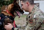 Milletimize hizmet eden köpek, eski Hava Kuvvetleri görevlisine kavuştu: 'Bereket oldu'