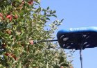 2023 yılına baktığımızda: Bizi şaşırtan, korkutan ve hayrete düşüren 8 drone