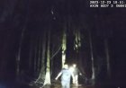 Florida yürüyüşçüleri timsahların istila ettiği bataklıkta saatlerce kaybolduktan sonra kurtarıldı, video gösterileri