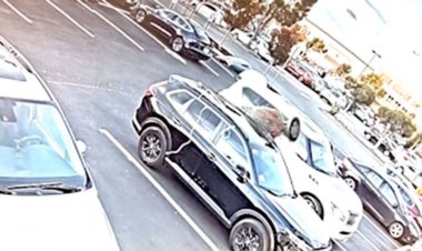 'Bay. Grinchmas Kaliforniyalı ailenin SUV'undan Noel ağacını çalarken kameralara yakalandı