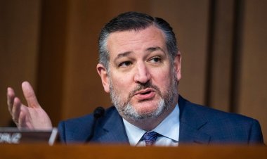 Cruz: Biden yöneticisi, Amerikalıları 'sansürlemeye' yönelik 'yanlış bilgi' araştırması için vergi mükelleflerinin parasını üniversitelere aktardı