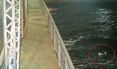 Minnesota itfaiyecileri, Superior Gölü'nün 'aşırı soğuk sularında' boğulan köpeği kurtarmak için 2 metrelik dalgalarla mücadele ediyor