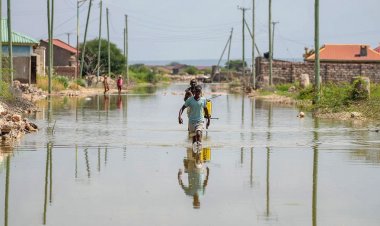 Kenya'yı etkisi altına alan sel nedeniyle en az 170 kişi öldü, binlerce kişi yerinden edildi
