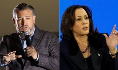 Sen Ted Cruz, Filistin sempatisini artırma çabası için Başkan Yardımcısı Kamala Harris'e seslendi: 'İsrail'i baltalamak'