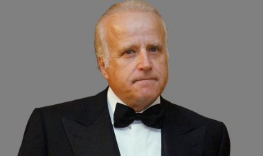 Mütevelli heyeti, James Biden'a kredi verildiğini, soyadını kullanma sözü vermesine rağmen Americore'a hizmet sağlamadığını söyledi