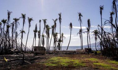 Hawaii Valisi Green, yıkıcı orman yangınlarının ardından Maui için 425 milyon dolarlık kurtarma bütçesi önerdi