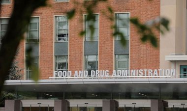 FDA, DNA örneği kullanılarak opioid bağımlılığı riskini değerlendiren ilk genetik testi onayladı