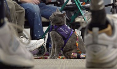 Her ikisi de ampute olan kadın ve kedi, hayvan terapisi yoluyla Ohio topluluklarını güçlendirmek için bir araya geliyor