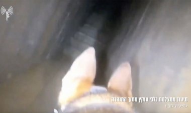 İZLE: İsrail'in dört ayaklı askerleri Gazze Şehri'ndeki Hamas tünelini ortaya çıkardı
