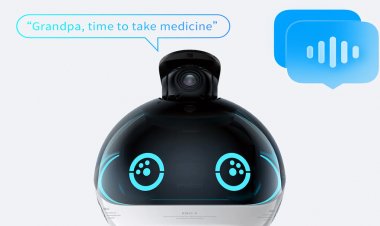 Bu robot evinizi korumanıza ve bağlamanıza nasıl yardımcı olur?