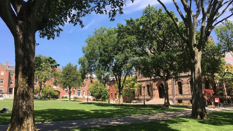 Polis, Brown Üniversitesi'ndeki oturma eyleminin ardından 41 öğrenciyi tutukladı; bu, bir aydan uzun bir süre içinde gerçekleşen ikinci oturma eylemi oldu