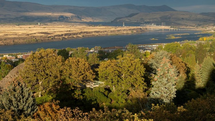 Biden yönetimi, Columbia Nehri Havzası'nın restorasyonu için milyonlarca yeni fon ayırdı