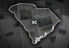 Güney Carolina Senatosu, Demokratların kalesindeki özel seçimin ardından 6. kadın üyeye kavuştu