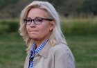 Liz Cheney, New Hampshire seçmenlerini Cumhuriyetçi Parti'deki 'korkaklık vebasıyla' mücadele etmeye çağırıyor