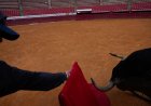 Mexico City, yüksek mahkemenin yasağı bozmasının ardından boğa güreşlerine devam etmeye hazırlanıyor