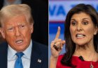 Trump New Hampshire'da yaklaşık 20 puan önde mi yoksa Haley de hemen peşinde mi? Yeni anketler birbirinden farklı