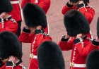 PETA, Birleşik Krallık'ta King's Guard'ın giydiği ayı derisinden şapkalara karşı kampanya başlattı