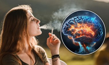Yeni araştırmaya göre sigara içmek beyni küçültüyor ve Alzheimer riskini artırıyor