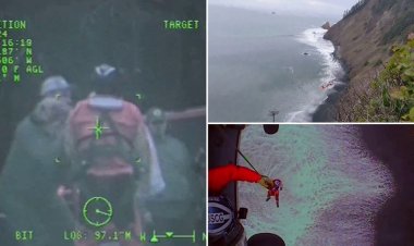 Sahil Güvenlik, Oregon'da deniz kenarındaki uçurumdan düşen köpeği kurtardı, dramatik videoda evcil hayvanı sahipleriyle yeniden buluşturdu
