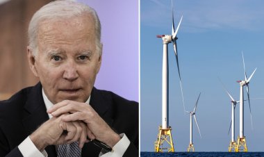 Yeşil enerji 2023'ün en büyük kaybedeni oldu. Biden ve ilericiler 2024'te uyanacak mı?