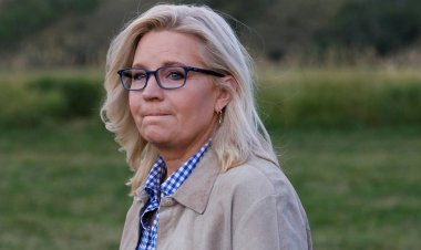 Liz Cheney, New Hampshire seçmenlerini Cumhuriyetçi Parti'deki 'korkaklık vebasıyla' mücadele etmeye çağırıyor