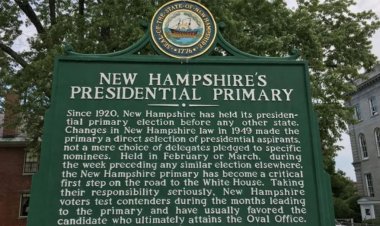 DNC, New Hampshire Demokrat Partisini 'zararlı' ön seçim süreci nedeniyle eleştirdi