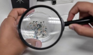 Amerikan etinin, suyunun ve bitkilerinin ezici çoğunluğunda bulunan mikroplastikler: çalışma