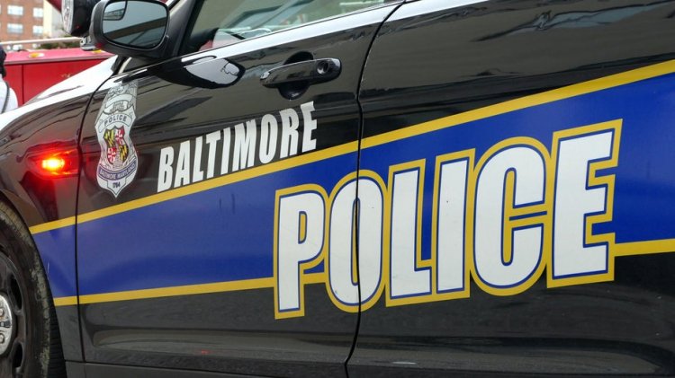 Maryland polisi, kendilerine saldıran çıplak adamı 'palaya benzer silah' ve bıçakla vurdu