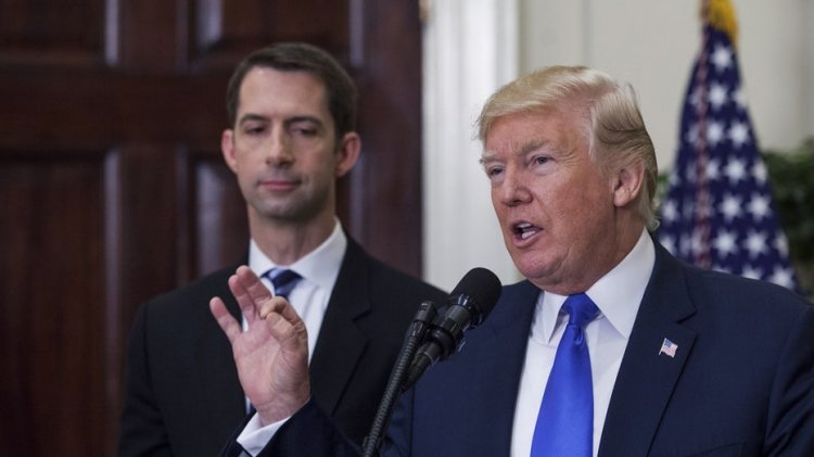 Cotton Trump'ı destekliyor ve Biden yönetiminde 'her şeyin cehenneme gittiğini' söylüyor