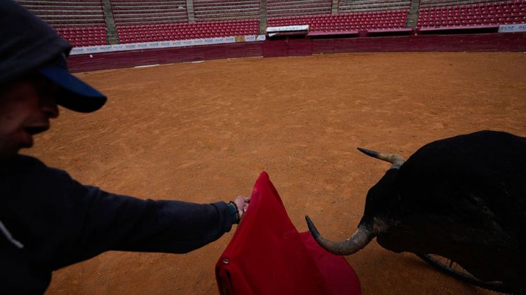 Mexico City, yüksek mahkemenin yasağı bozmasının ardından boğa güreşlerine devam etmeye hazırlanıyor